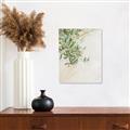 Picture of Few Olive Tree Leaves _GroupedProduct_Rectangle_Portrait_Photography _GroupedProduct_Rectangle_Portrait_Unframed_Print_Only_