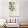 Picture of Few Olive Tree Leaves _GroupedProduct_Rectangle_Portrait_Photography _GroupedProduct_Rectangle_Portrait_Unframed_Print_Only_