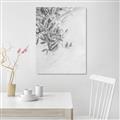 Picture of Few Olive Tree Leaves _GroupedProduct_Rectangle_Portrait_Photography _GroupedProduct_Rectangle_Portrait_Unframed_Print_Only_