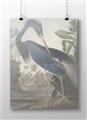 Picture of Vintage Heron Bird _GroupedProduct_Rectangle_Landscape_Unframed_Print_Only_