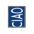 Picture of Ciao in Blue _GroupedProduct_Rectangle_Portrait_Framed_Matted_