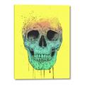 Picture of Street Art Skull _GroupedProduct_Rectangle_Portrait_Canvas_