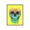 Picture of Street Art Skull _GroupedProduct_Rectangle_Portrait_Canvas_Framed_
