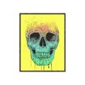 Picture of Street Art Skull _GroupedProduct_Rectangle_Portrait_Canvas_Framed_