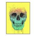 Picture of Street Art Skull _GroupedProduct_Rectangle_Portrait_Canvas_Framed_