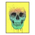 Picture of Street Art Skull _GroupedProduct_Rectangle_Portrait_Canvas_Framed_