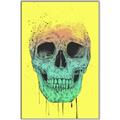 Picture of Street Art Skull _GroupedProduct_Rectangle_Portrait_Canvas_Framed_
