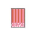 Picture of Ciao Stripes in Pink _GroupedProduct_Rectangle_Portrait_Canvas_Framed_