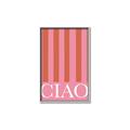 Picture of Ciao Stripes in Pink _GroupedProduct_Rectangle_Portrait_Canvas_Framed_