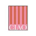 Picture of Ciao Stripes in Pink _GroupedProduct_Rectangle_Portrait_Canvas_Framed_