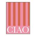 Picture of Ciao Stripes in Pink _GroupedProduct_Rectangle_Portrait_Canvas_Framed_
