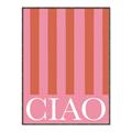 Picture of Ciao Stripes in Pink _GroupedProduct_Rectangle_Portrait_Canvas_Framed_