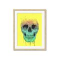 Picture of Street Art Skull _GroupedProduct_Rectangle_Portrait_Framed_Matted_