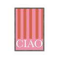Picture of Ciao Stripes in Pink _GroupedProduct_Rectangle_Portrait_Framed_Matted_