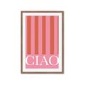 Picture of Ciao Stripes in Pink _GroupedProduct_Rectangle_Portrait_Framed_Matted_