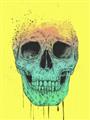 Picture of Street Art Skull _GroupedProduct_Rectangle_Portrait_Unframed_Print_Only_