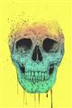 Picture of Street Art Skull _GroupedProduct_Rectangle_Portrait_Unframed_Print_Only_