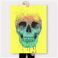 Picture of Street Art Skull _GroupedProduct_Rectangle_Portrait_Canvas_