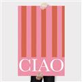 Picture of Ciao Stripes in Pink _GroupedProduct_Rectangle_Portrait_Canvas_