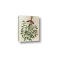 Picture of Under the Mistletoe I _GroupedProduct_Rectangle_Portrait_Canvas_