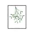Picture of Under the Mistletoe II _GroupedProduct_Rectangle_Portrait_Canvas_Framed_