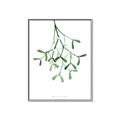 Picture of Under the Mistletoe II _GroupedProduct_Rectangle_Portrait_Canvas_Framed_