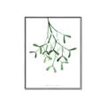 Picture of Under the Mistletoe II _GroupedProduct_Rectangle_Portrait_Canvas_Framed_
