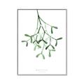 Picture of Under the Mistletoe II _GroupedProduct_Rectangle_Portrait_Canvas_Framed_