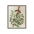 Picture of Under the Mistletoe I _GroupedProduct_Rectangle_Portrait_Framed_Matted_