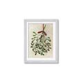 Picture of Under the Mistletoe I _GroupedProduct_Rectangle_Portrait_Framed_Matted_