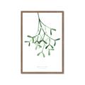 Picture of Under the Mistletoe II _GroupedProduct_Rectangle_Portrait_Framed_Matted_