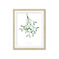 Picture of Under the Mistletoe II _GroupedProduct_Rectangle_Portrait_Framed_Matted_