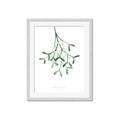 Picture of Under the Mistletoe II _GroupedProduct_Rectangle_Portrait_Framed_Matted_