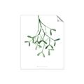 Picture of Under the Mistletoe II _GroupedProduct_Rectangle_Portrait_Unframed_Print_Only_