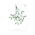 Picture of Under the Mistletoe II _GroupedProduct_Rectangle_Portrait_Unframed_Print_Only_