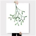 Picture of Under the Mistletoe II _GroupedProduct_Rectangle_Portrait_Canvas_