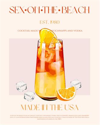 Picture of Sex on the Beach Drink