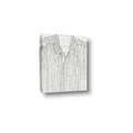 Picture of Stripedshirt _GroupedProduct_Rectangle_Portrait_Canvas_