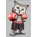 Picture of Boxing cat _GroupedProduct_Rectangle_Portrait_Canvas_Framed_