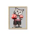 Picture of Boxing cat _GroupedProduct_Rectangle_Portrait_Framed_Matted_