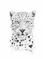 Picture of Lovely leopard _GroupedProduct_Rectangle_Portrait_Unframed_Print_Only_