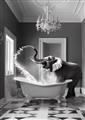 Picture of Joyful Elephant Bath Time _GroupedProduct_Rectangle_Portrait_Unframed_Print_Only_