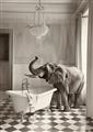 Picture of Luxuary Elephant _GroupedProduct_Rectangle_Portrait_Unframed_Print_Only_