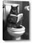 Picture of Plus Size Kitty on the Loo