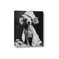 Picture of Spa Day Pooch _GroupedProduct_Rectangle_Portrait_Canvas_