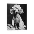 Picture of Spa Day Pooch _GroupedProduct_Rectangle_Portrait_Canvas_