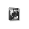 Picture of Kitty Cat Throne Room _GroupedProduct_Rectangle_Portrait_Canvas_