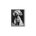 Picture of Spa Day Pooch _GroupedProduct_Rectangle_Portrait_Canvas_Framed_