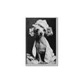 Picture of Spa Day Pooch _GroupedProduct_Rectangle_Portrait_Canvas_Framed_