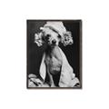 Picture of Spa Day Pooch _GroupedProduct_Rectangle_Portrait_Canvas_Framed_